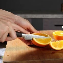 PAUDIN N7 Professioneel RVS Japans Officemes 12,5 Cm - Vlijmscherp Universeel Groentemes Gemaakt Van Hoogwaardig Roestvast Duits Carbonstaal - Damascus Patroon - Nu Extra Scherp Geprijst - Black Friday - Sint En Kerst -Tefal Shop 550x403 5