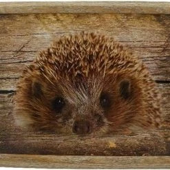 Mars & More - Laptray - Schootkussen - Egel - 33x43 Cm -Tefal Shop 550x408 1