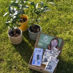 T-Sac Theefilters No.1 -Tefal Shop 550x550 568