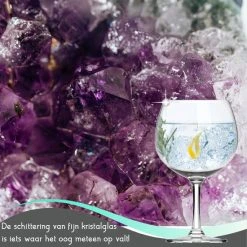 TEN® - Gin Tonic Glazen Van Hoogwaardig Kristal 700ml + 35 Cocktailrecepten - 6 Stuks - Duurzame Gin&Tonic Geschenkset - Gin Glazen - Cognac Glazen Set - Cocktail Pakket Cadeauset -Tefal Shop 550x550 619